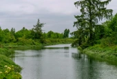 A River in Washington State Now Has Enforceable Legal Rights - Inside Climate News