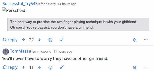 screenshot of conflicting comments about bassists