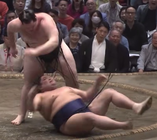 SUMO: Days 11-15 pics, September 2026 tourney