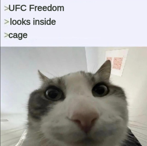 m0hgf1OEsbgyjM4.png