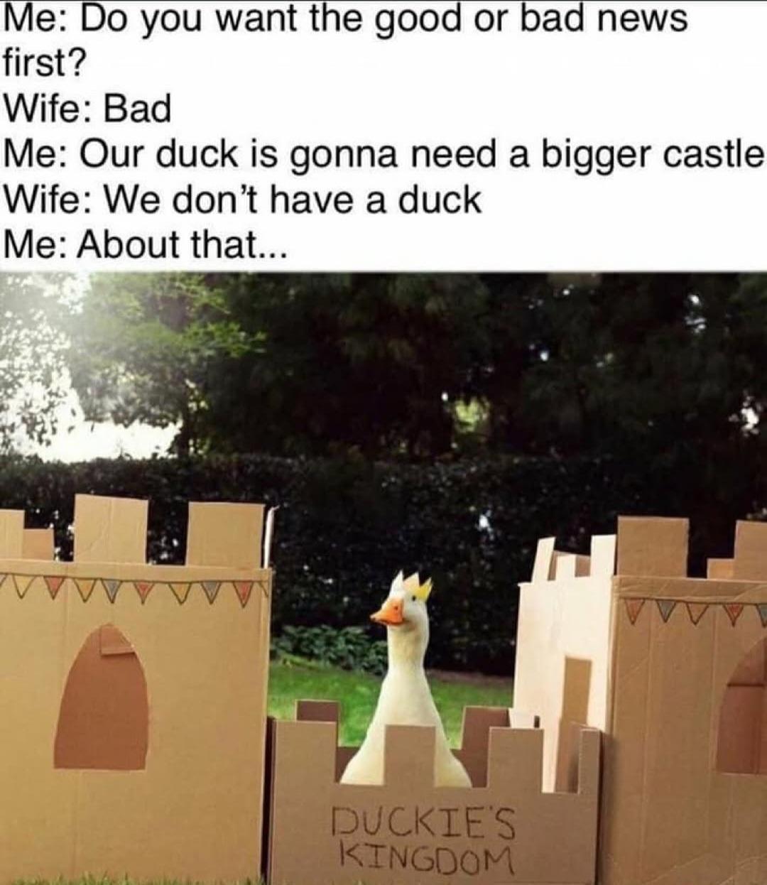 King duck!