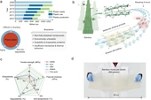 High-strength, multi-mode processable bamboo molecular bioplastic enabled by solvent-shaping regulation - Nature Communications