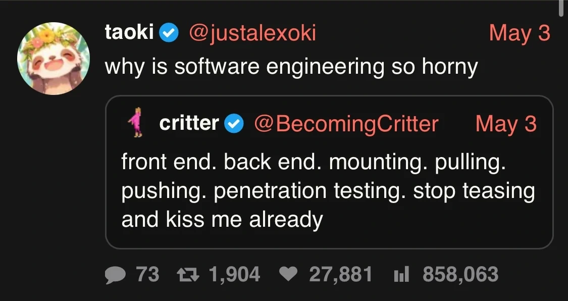 why is software engineering so horny