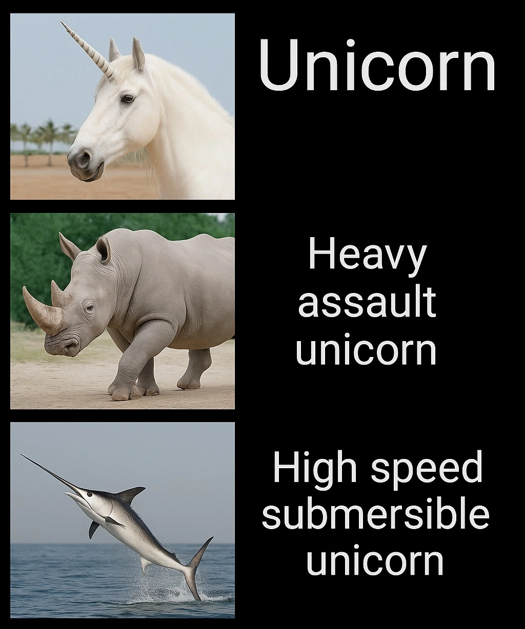 Contemporary Unicorns