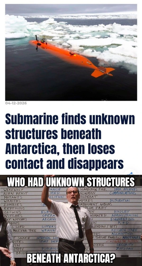 AVP_irl
