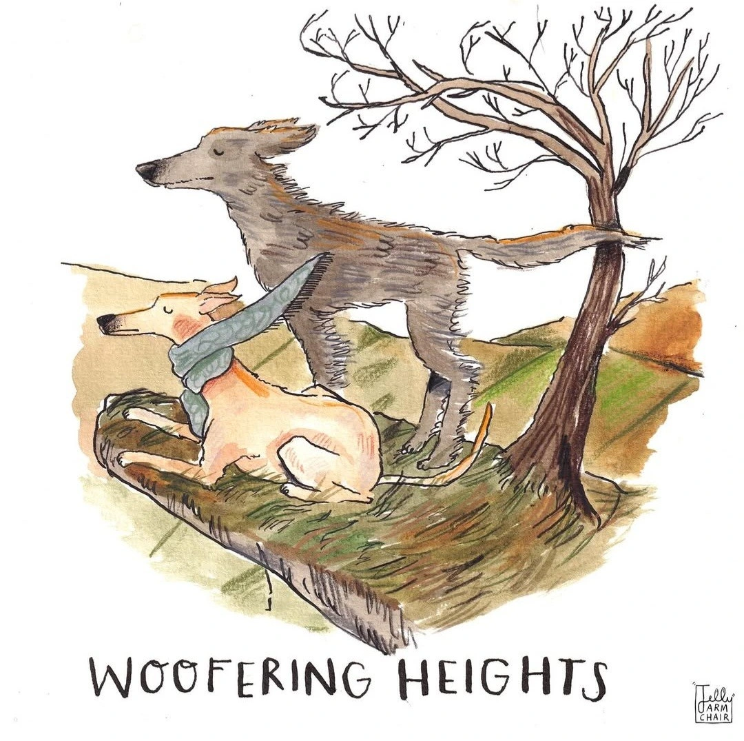 Sounds like a good book