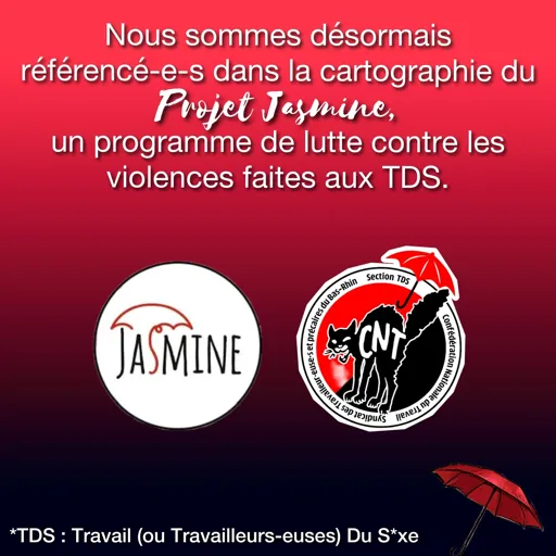 Nous sommes désormais référencé-e-s dans la cartographie du Projet Jasmine, un programme de lutte contre les violences faites aux TDS.