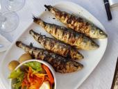 11 Portuguese Idioms That Will Make Locals Smile