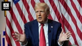 Donald Trump suggests Kamala Harris 'happened to turn Black'