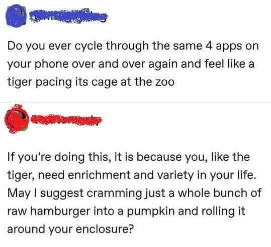 Boredom is universal