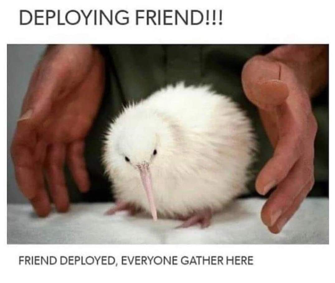 "DEPLOYING FRIEND!!!" image of a white kiwi bird "FRIEND DEPLOYED, EVERYONE GATHER HERE"
