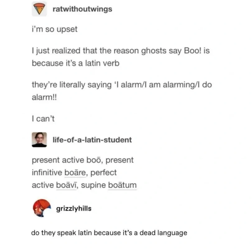 Post: I just realized that the reason ghosts say Boo! is because it's a latin verb. they're literally saying ‘I alarm/I am alarming/l do alarm!!. I can't Reply: present active boo, present infinitive boare, perfect active boavi, supine boatum Reply: do they speak latin because it’s a dead language