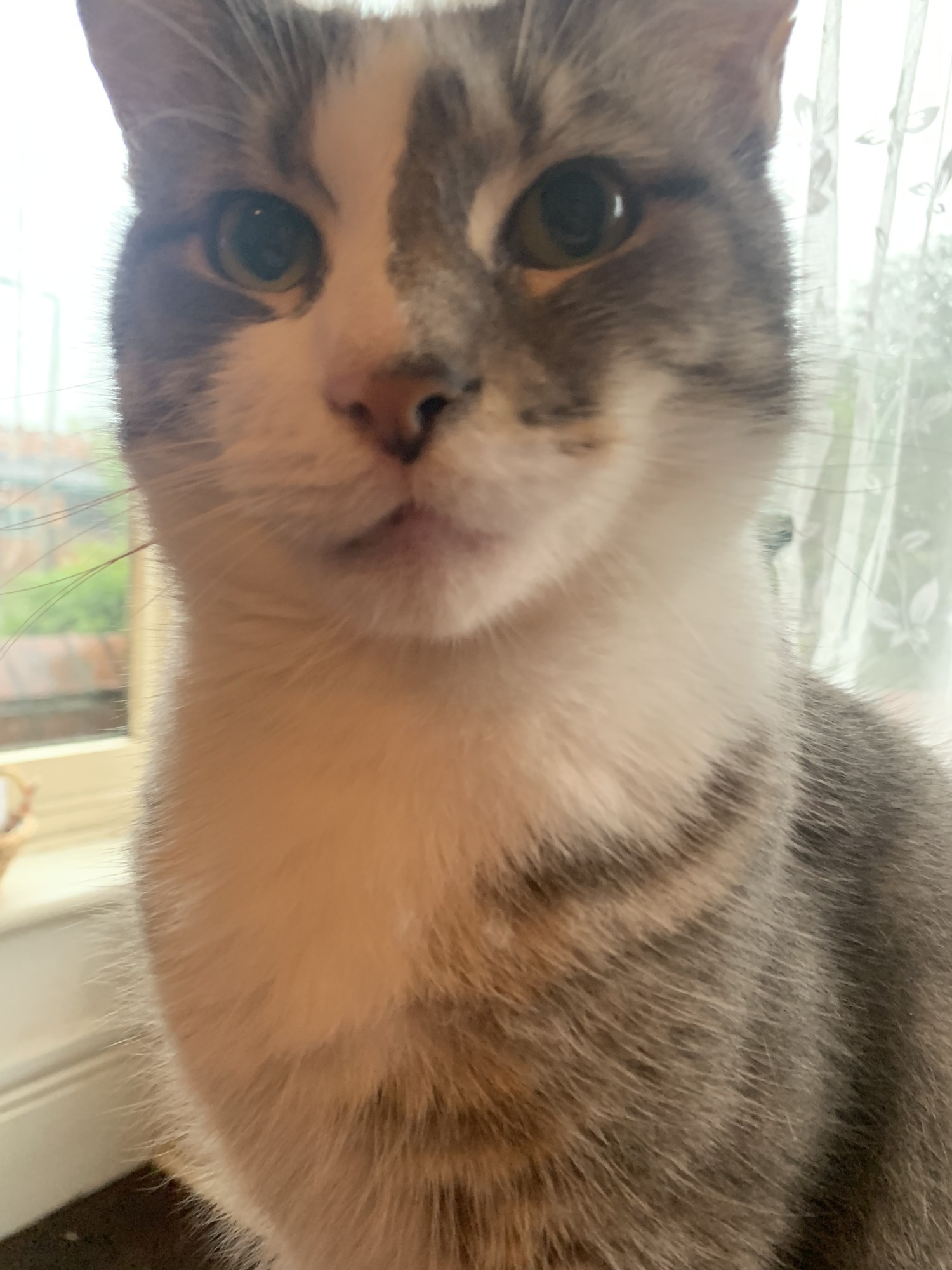 This is Coco.