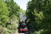 Tickets Alert: Fish and chips on a heritage train service