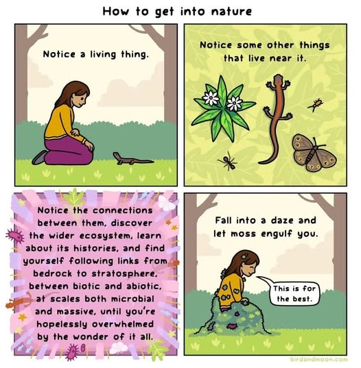 How to study nature [Bird And Moon] 