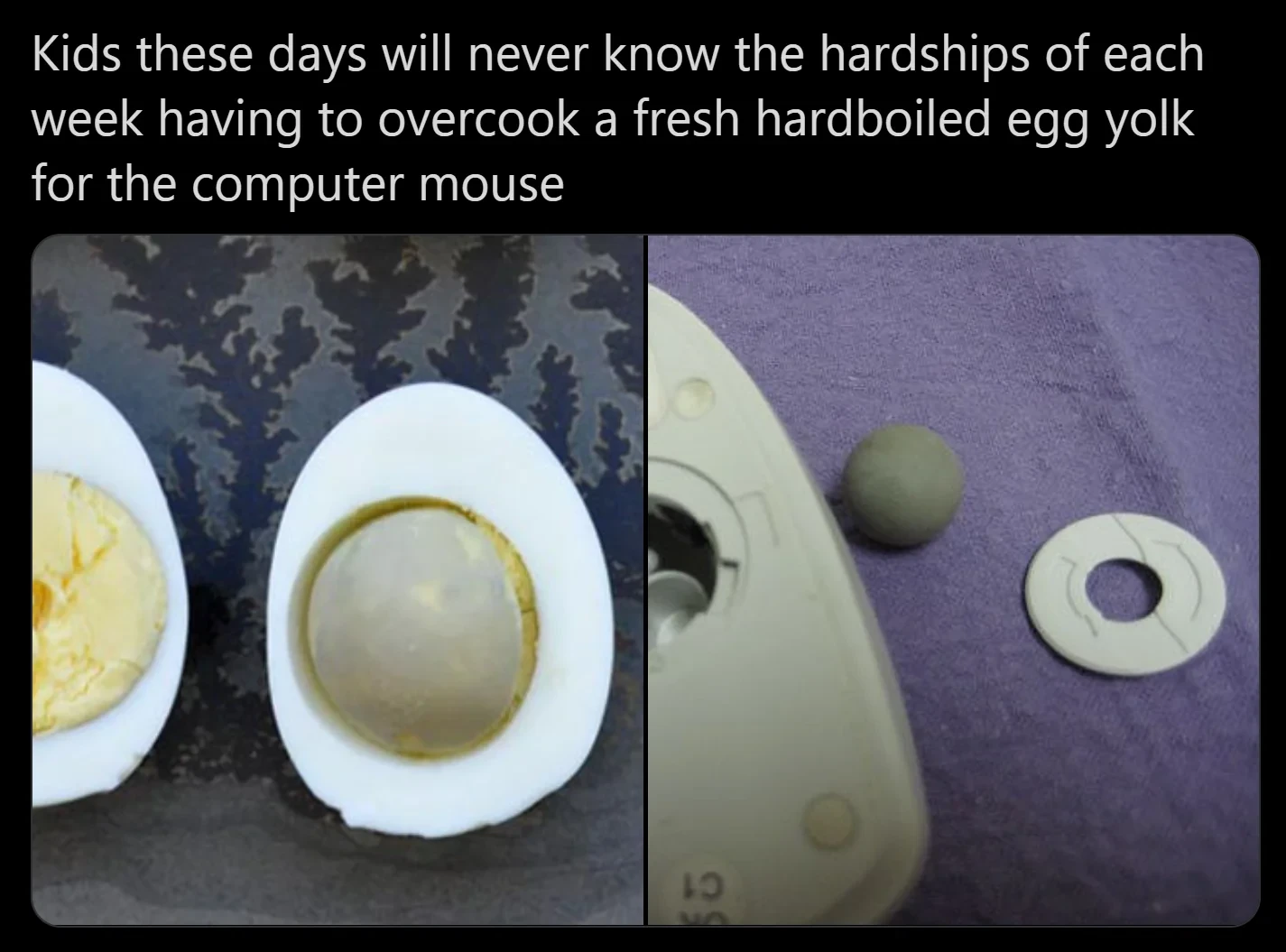 Mouse