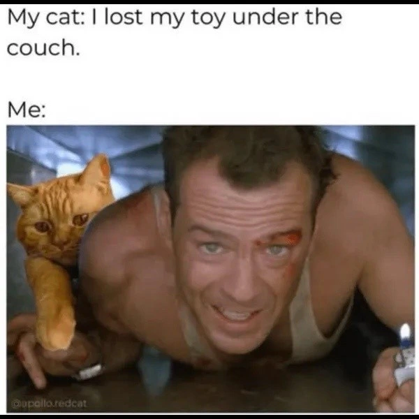 Need a helping paw