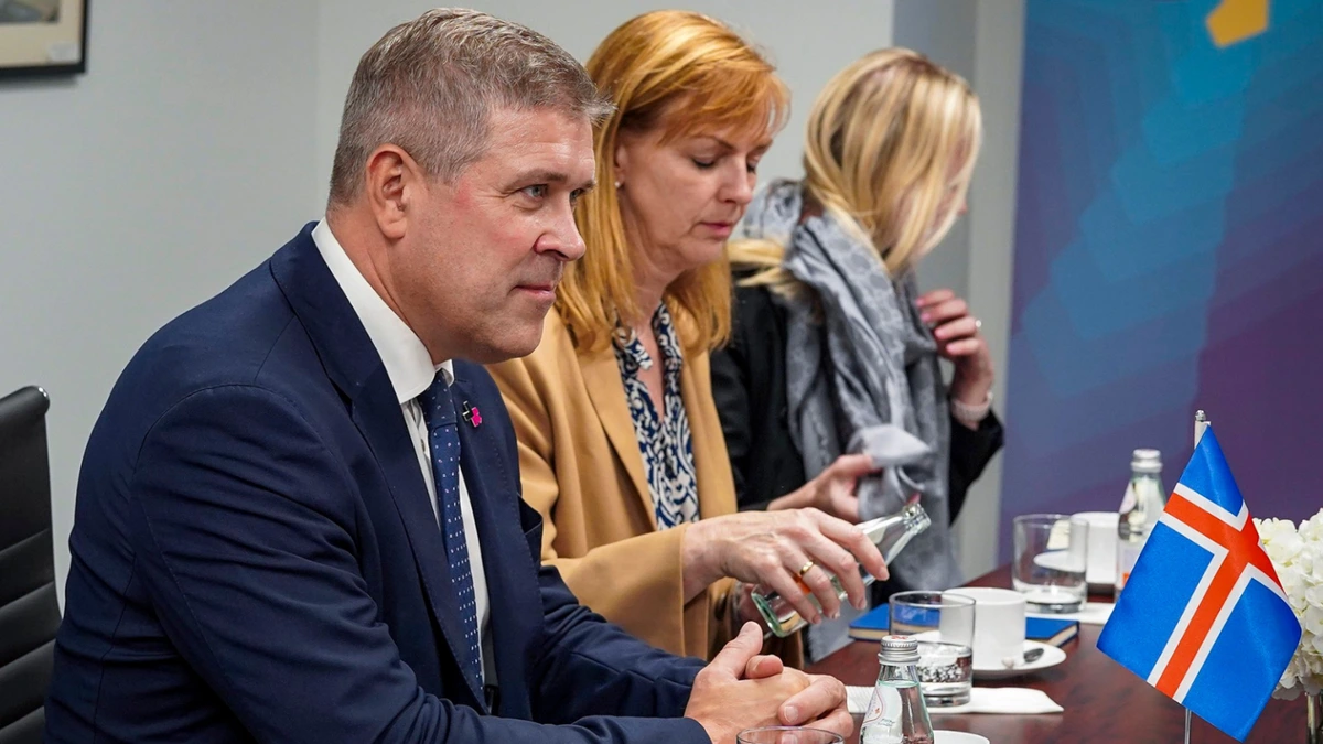 Politici islandesi