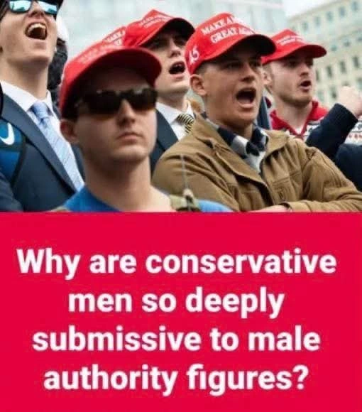 Without hierarchies/authority figures, the bootlickers would be totally lost. 🤠