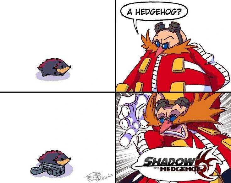 Shadow the Hedgerule