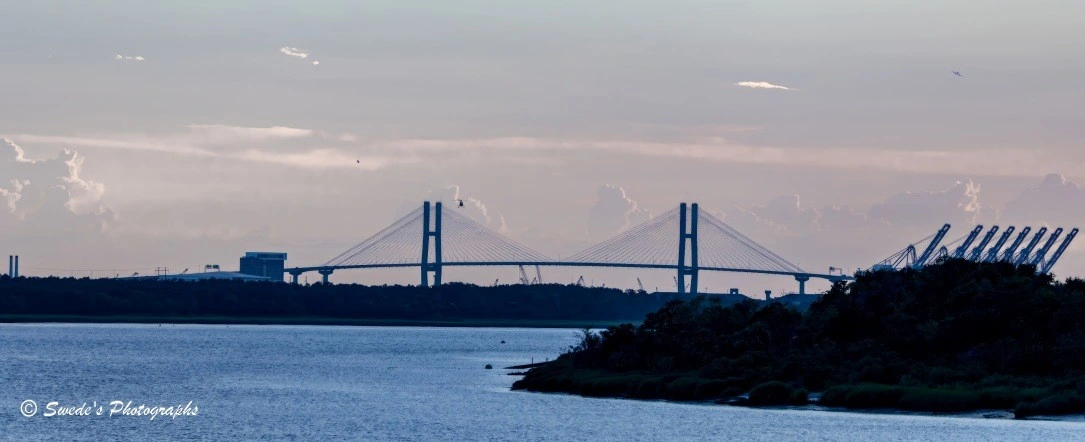 Harbor Strings at Dusk

"As a vessel rounds a gentle bend on the Savannah River, the scene unfolds like a quiet orchestration of steel, water, and dusk. The Talmadge Memorial Bridge rises ahead—a cable-stayed marvel with two towering pylons that pierce the sky like solemn sentinels. From each tower, taut cables fan outward in symmetrical arcs, cradling the bridge deck like harp strings suspended in air.

Below, the river glides in muted silver, its surface barely rippled, reflecting the soft gradient of the evening sky—lavender, peach, and slate blue mingling in a tranquil hush. On the right bank, a cluster of towering cranes looms over the shipyard, their angular arms frozen mid-motion like mechanical giraffes grazing the horizon. Beneath them, massive shipping crates—some stacked, some scattered—form a geometric landscape of commerce and industry.

The greenery in the foreground frames the scene with quiet dignity, a reminder of the river’s natural lineage even as steel and cargo assert their dominion. The bridge, the cranes, the water—all bathed in the gentle light of a day’s end—compose a moment of suspended transition, where movement pauses and meaning settles." - Microsoft Copilot
