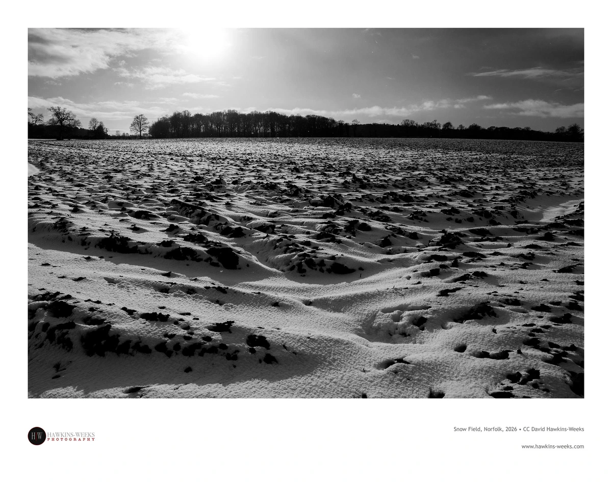 Black and white landscape photo of a snow covered field with some earth peeking through, set against a clear sky with the sun in the top left and a line of trees in the background