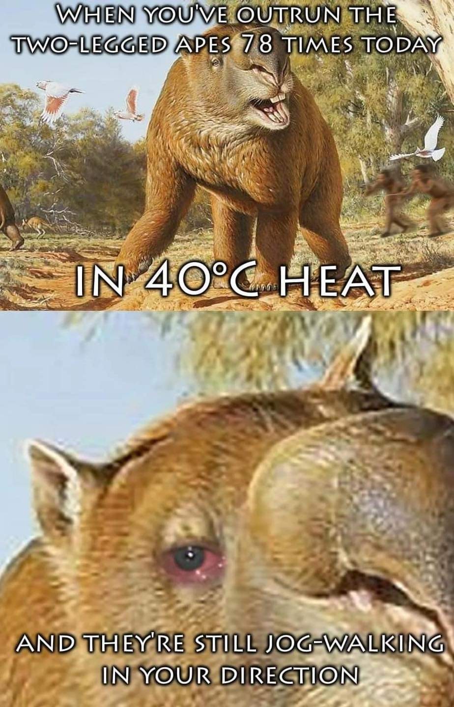 the background blur