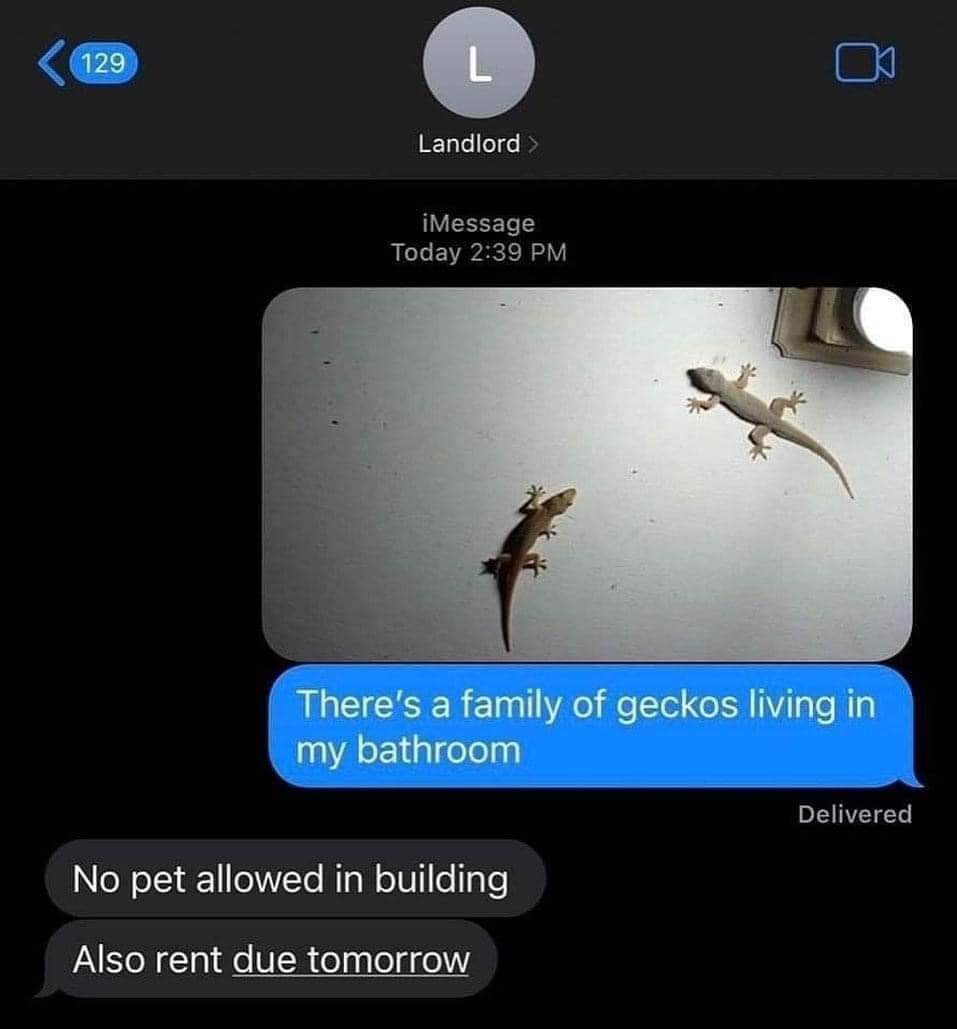 the background blur