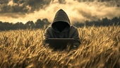 Sandworm hackers use data wipers to disrupt Ukraine's grain sector