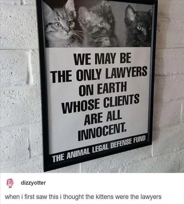 You're hired!