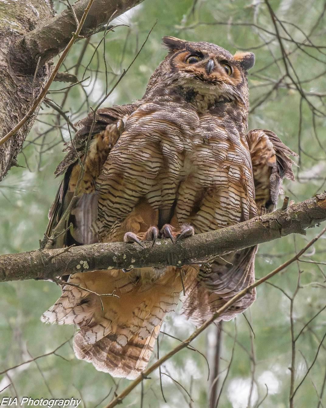 A Rousing Photo