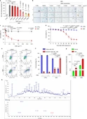 The flavonoid procyanidin C1 has senotherapeutic activity and increases lifespan in mice - Nature Metabolism