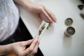 Cannabis study finds legalization reduces problematic consumption, especially among those using other drugs