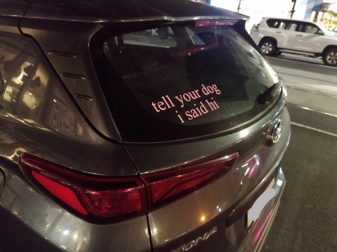 Best rear window I've seen irl