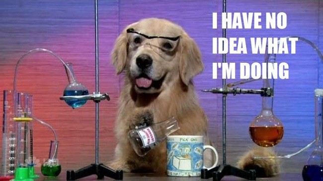 Science Dog