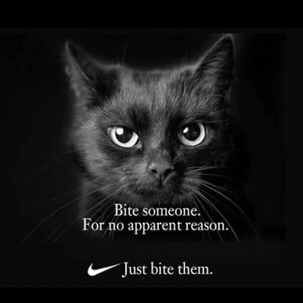 Just bite them