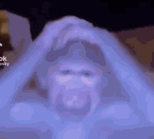 monkey with hands on head as if gesturing oh no feeling gif
