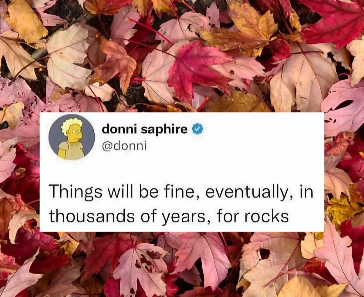 They shall inherit the earth