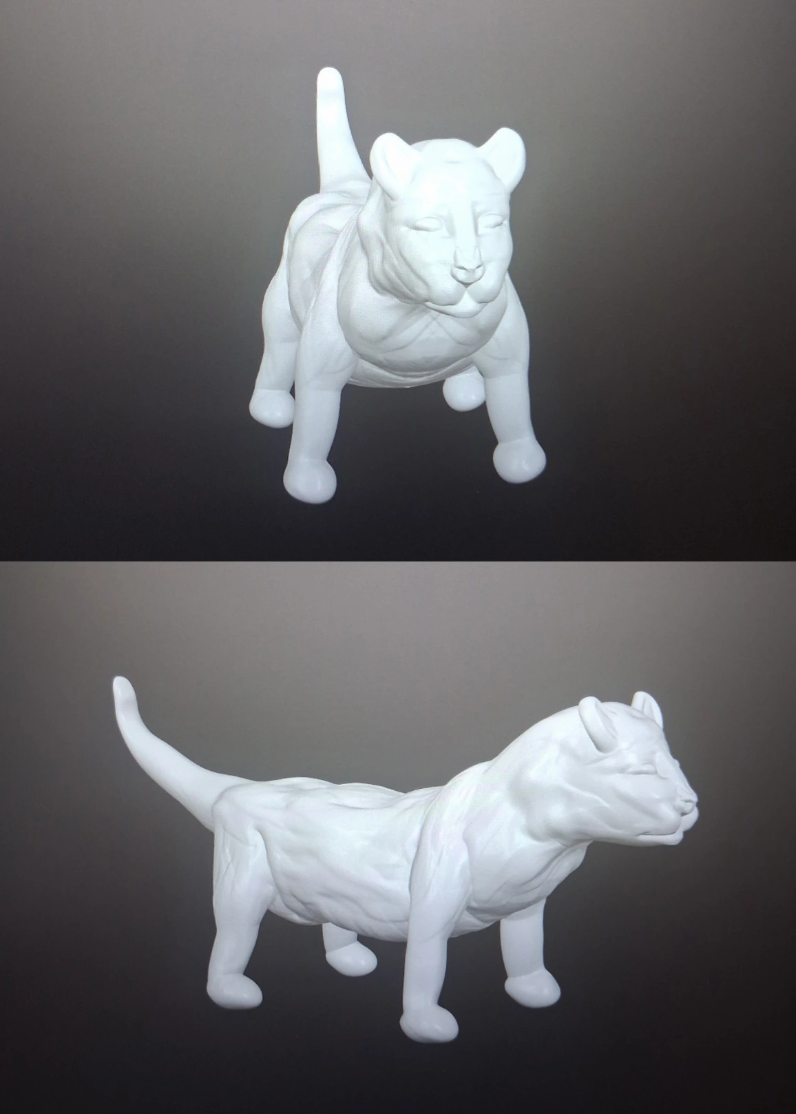 Tried to make the full big cat. Idk which one. I need to study the anatomy more. But this was fun to make.