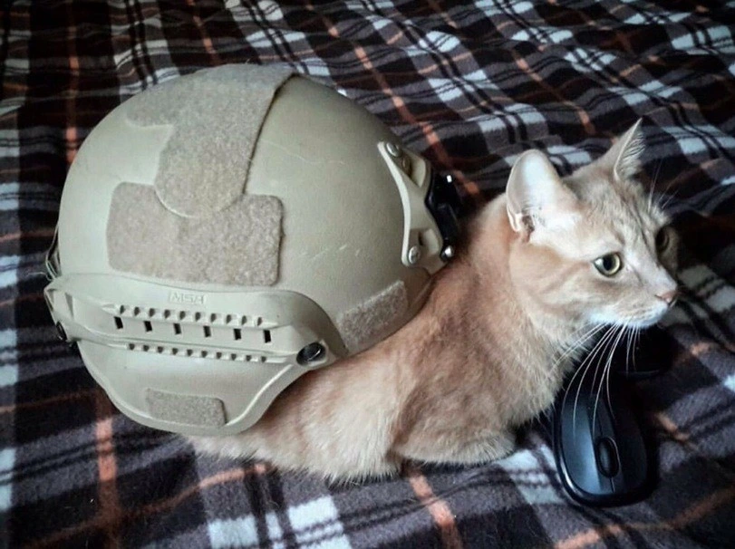 France drops another FELIN system