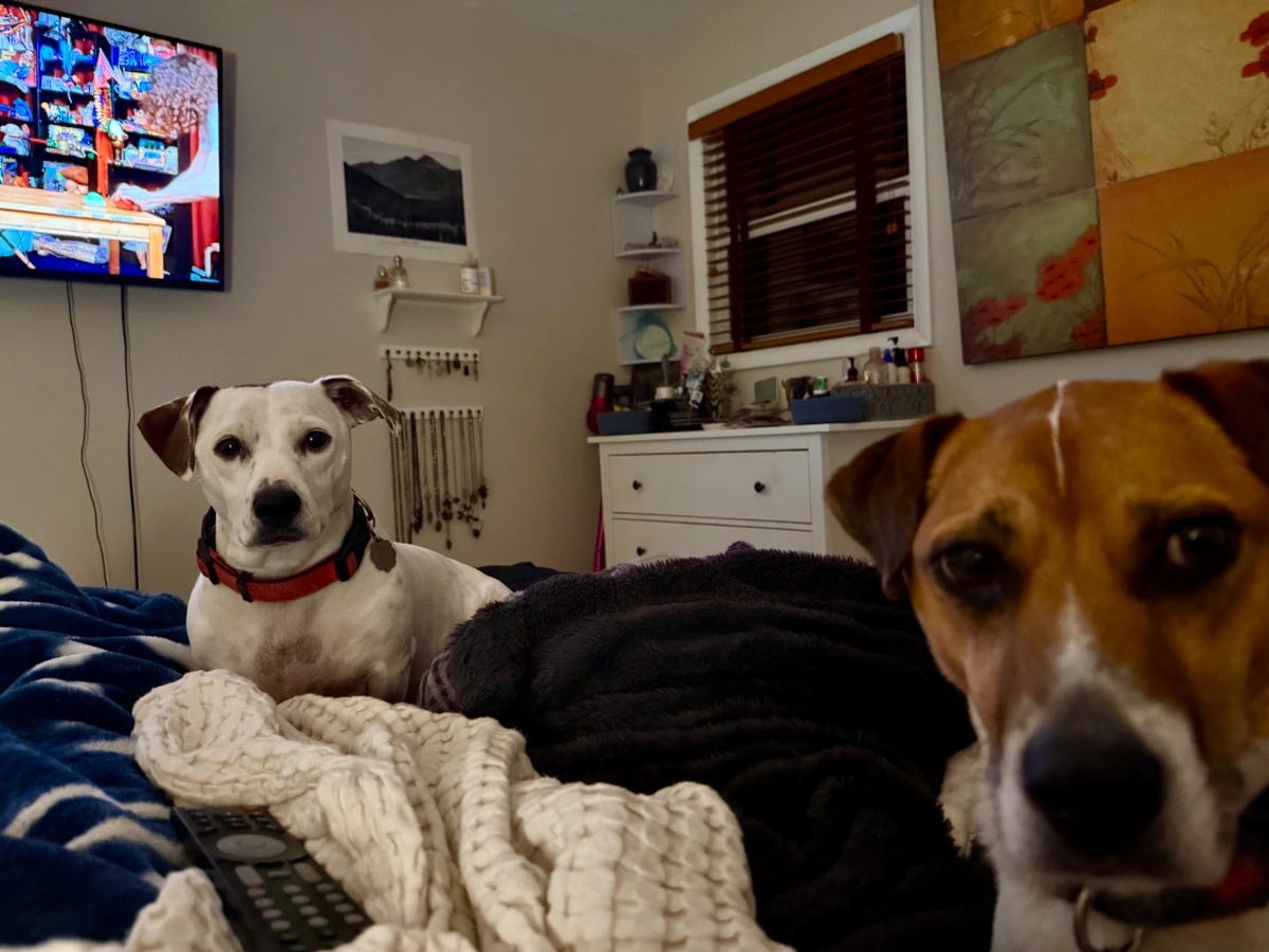Can't have a little snack without being watched