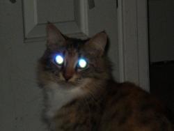 lasers4eyes