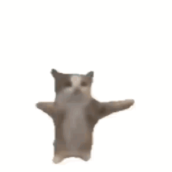 fxomt