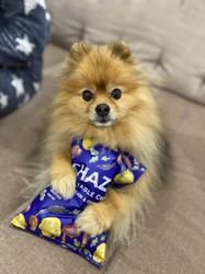 Tautvydaxx