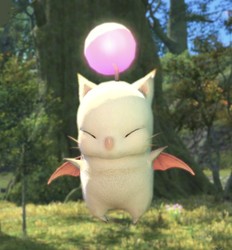 DearMoogle